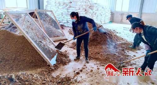 沃土富民路，生態高橋村 發展有機肥料產業，書寫鄉村振興新篇章