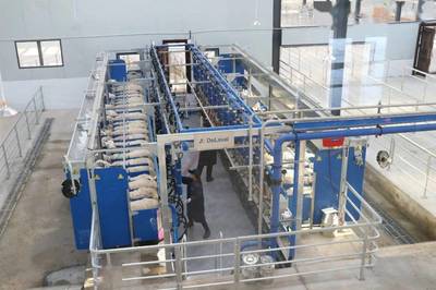 聚力奶綿羊發展，培育“乳肉”兼用新品種，助力肥料生產新篇章